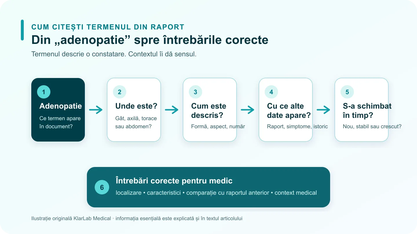 O hartă în șase pași pentru citirea adenopatiei dintr-un raport medical, de la termen la întrebările utile pentru medic.