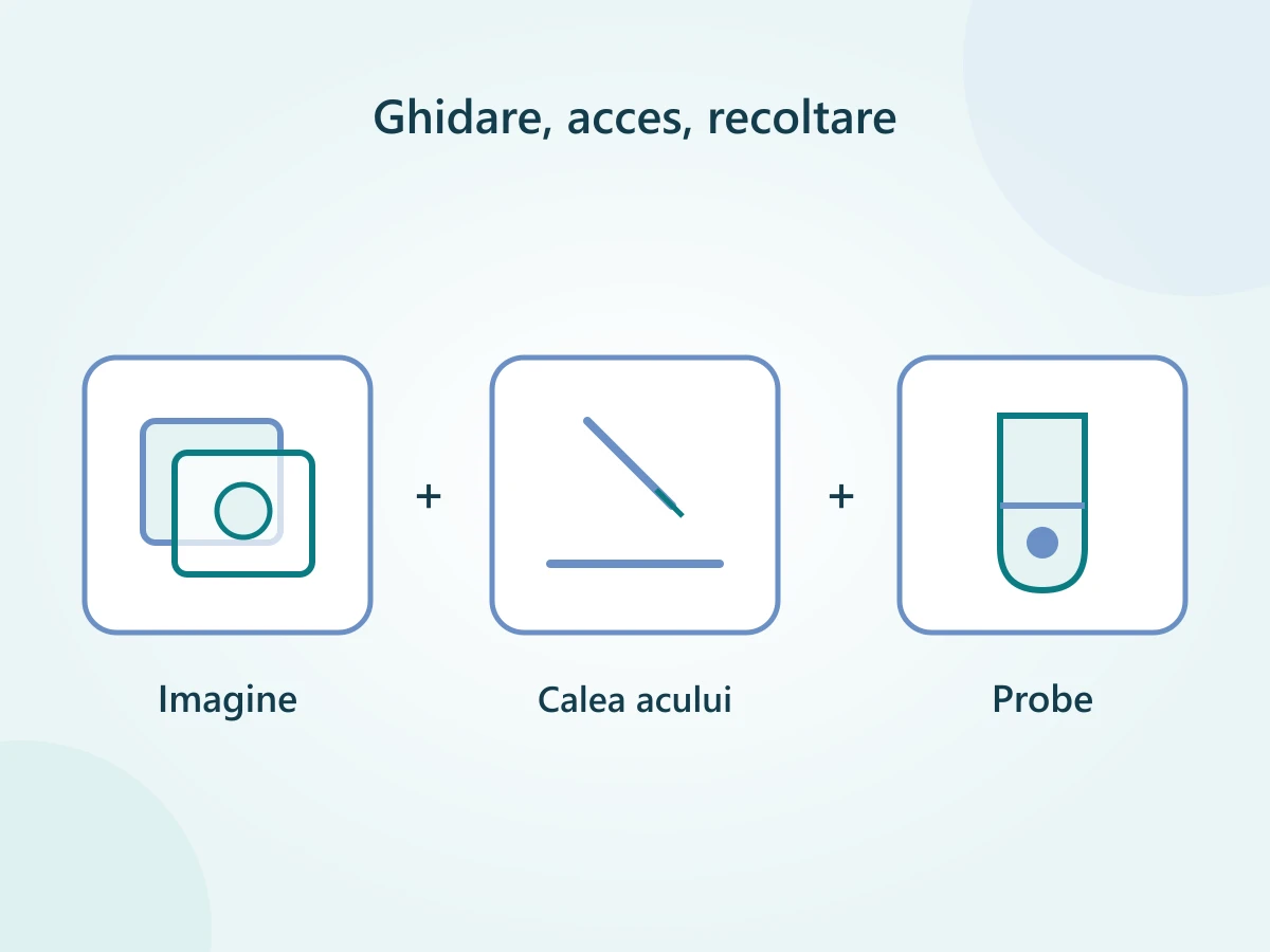 Trei întrebări distincte înaintea biopsiei de prostată: ghidarea imaginii, calea acului și probele recoltate.