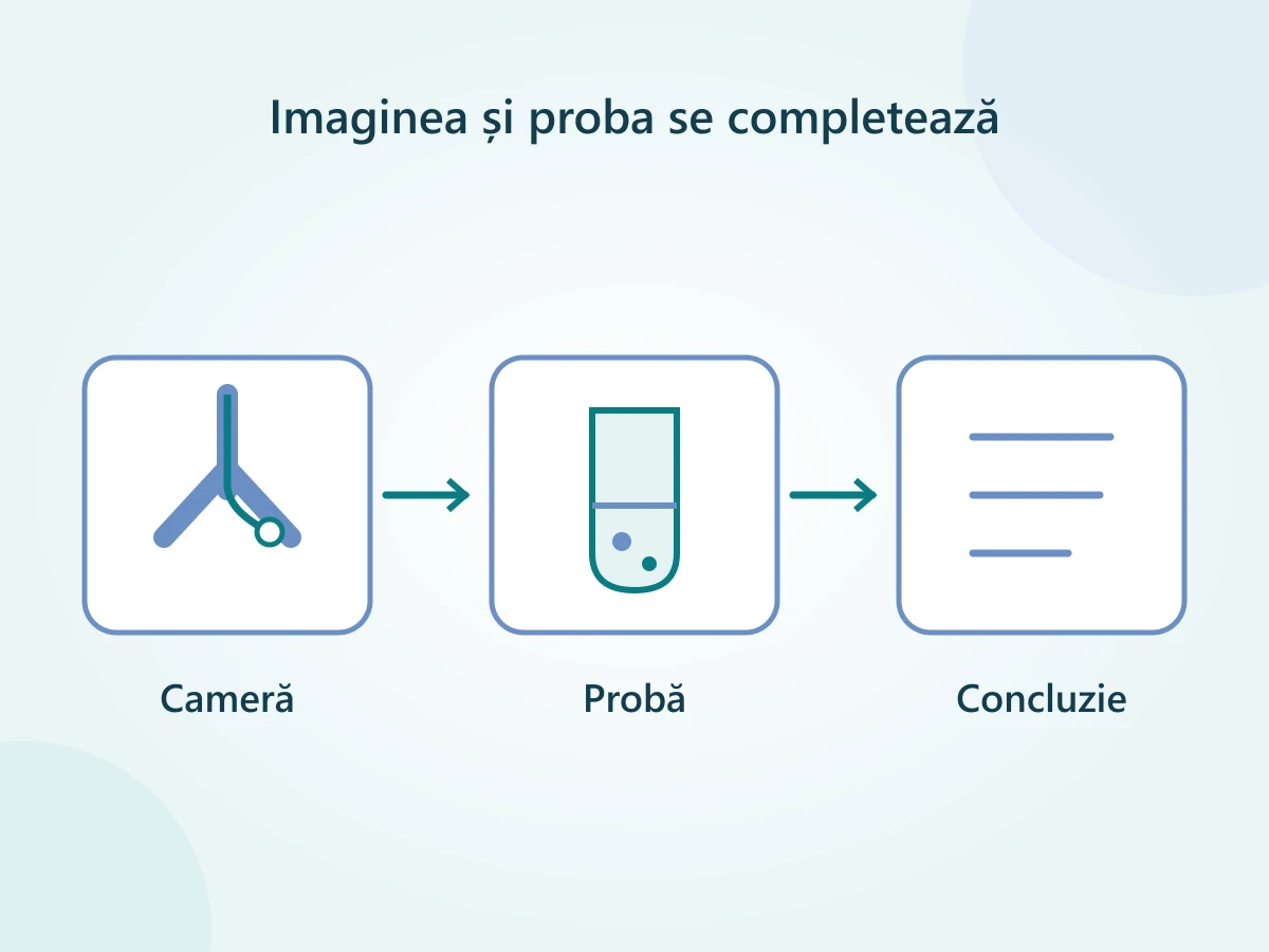 Traseul de la imaginea bronhoscopică la proba trimisă în laborator și concluzia medicală.