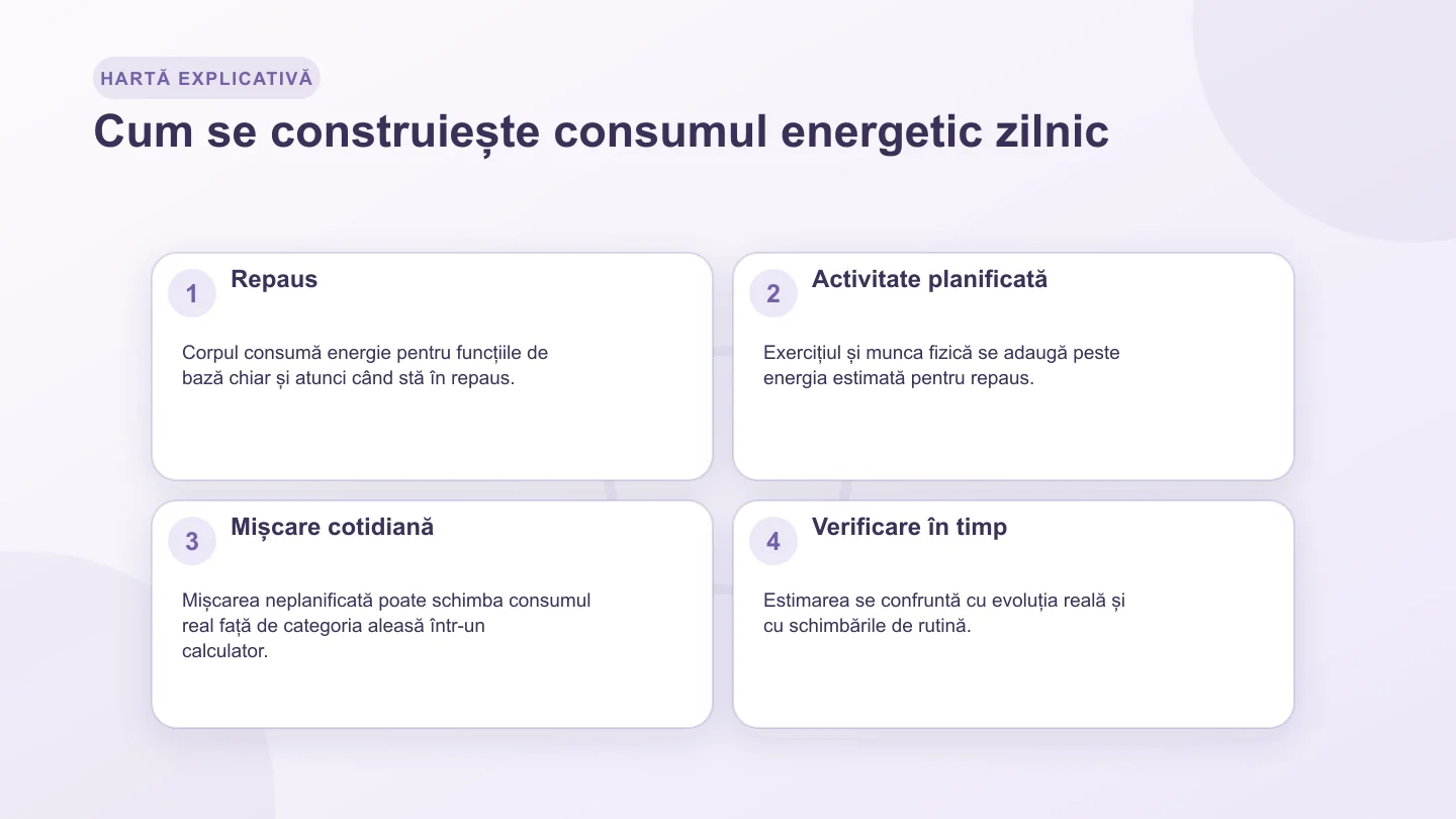 Hartă care pornește de la energia de repaus și adaugă mișcarea planificată, activitatea cotidiană și consumul zilnic total