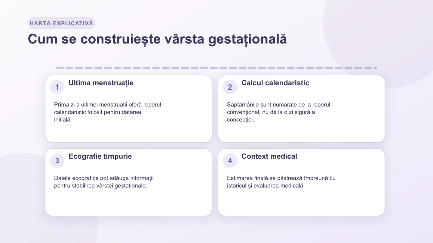Cronologie în patru pași de la ultima menstruație la calculul săptămânilor, ecografie și context medical