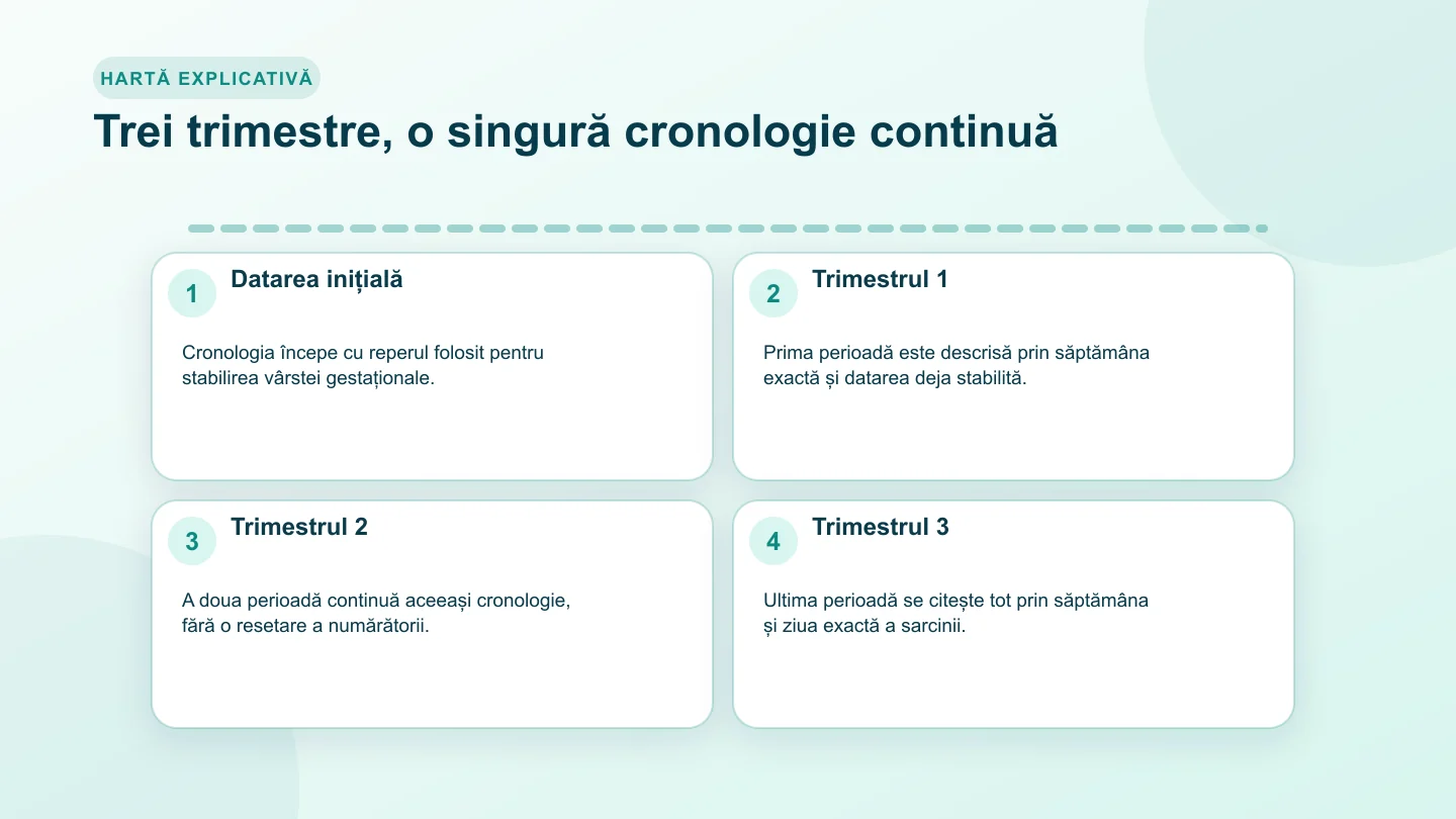 Cronologie a sarcinii cu datarea inițială și cele trei trimestre păstrate în aceeași succesiune