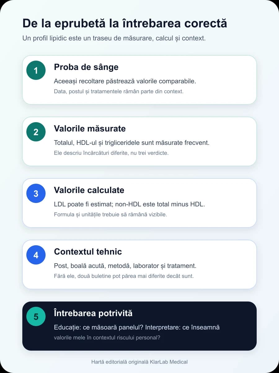 Cinci pași de la proba de sânge la întrebarea corectă despre profilul lipidic