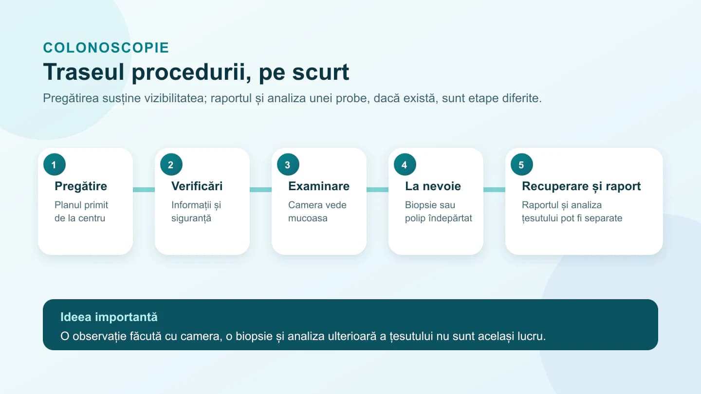 Hartă în cinci pași a colonoscopiei: pregătire, verificări, examinare, biopsie sau îndepărtarea unui polip la nevoie și recuperare cu documente separate.