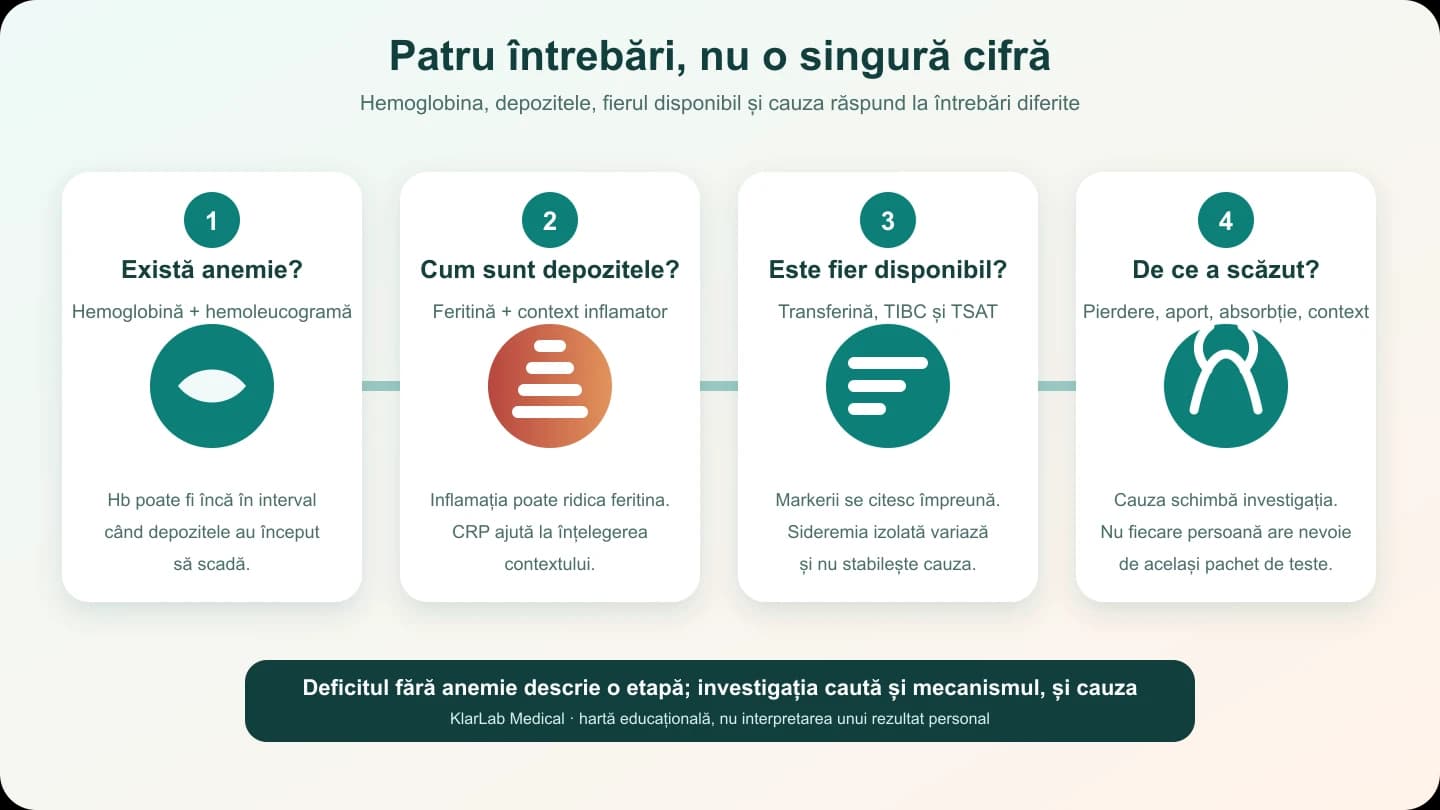 Hartă în patru pași despre hemoglobină, feritină și CRP, transferină și TSAT, apoi căutarea cauzei deficitului de fier