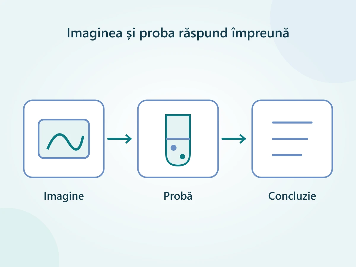 Ecoendoscopia oferă imagini; o probă poate merge la laborator, iar concluzia medicală le pune împreună.