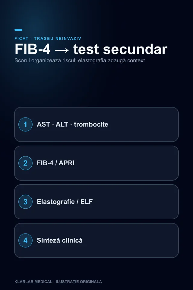Diagramă verticală a traseului de evaluare neinvazivă a fibrozei hepatice