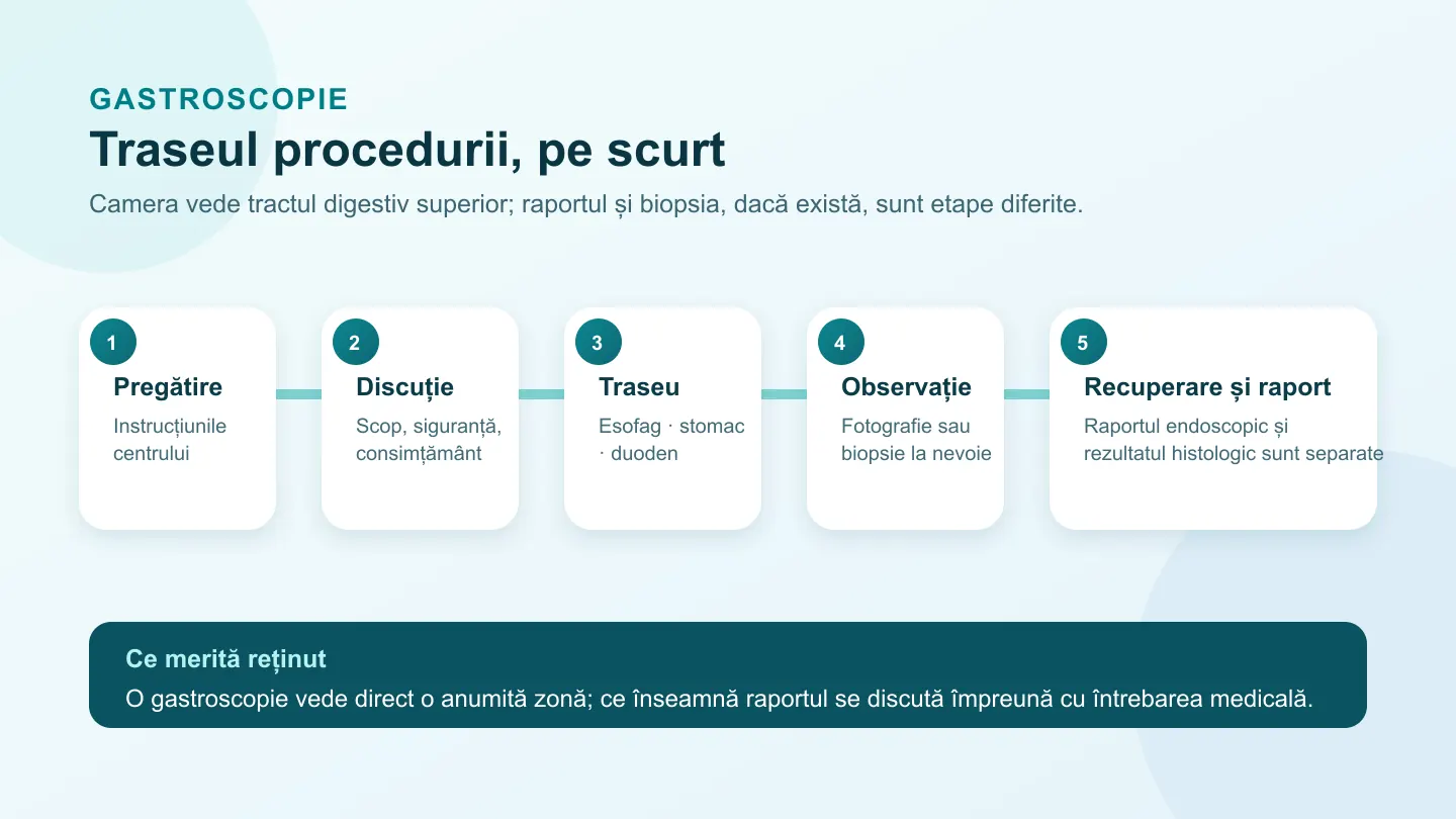 Diagramă în cinci pași despre pregătirea, traseul endoscopului, biopsie, recuperare și raport după gastroscopie