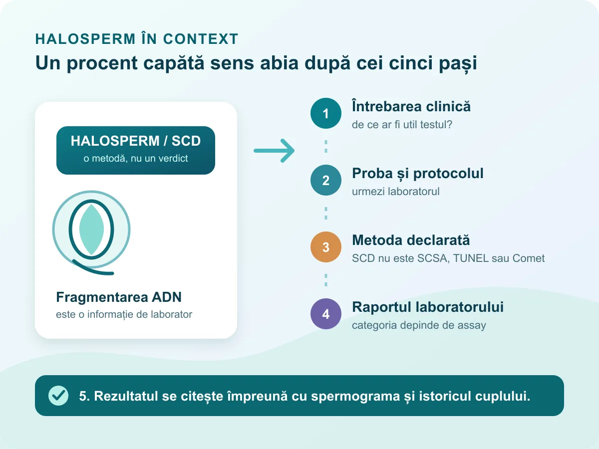 Diagramă în cinci pași de la întrebarea clinică la interpretarea contextuală a unui test Halosperm