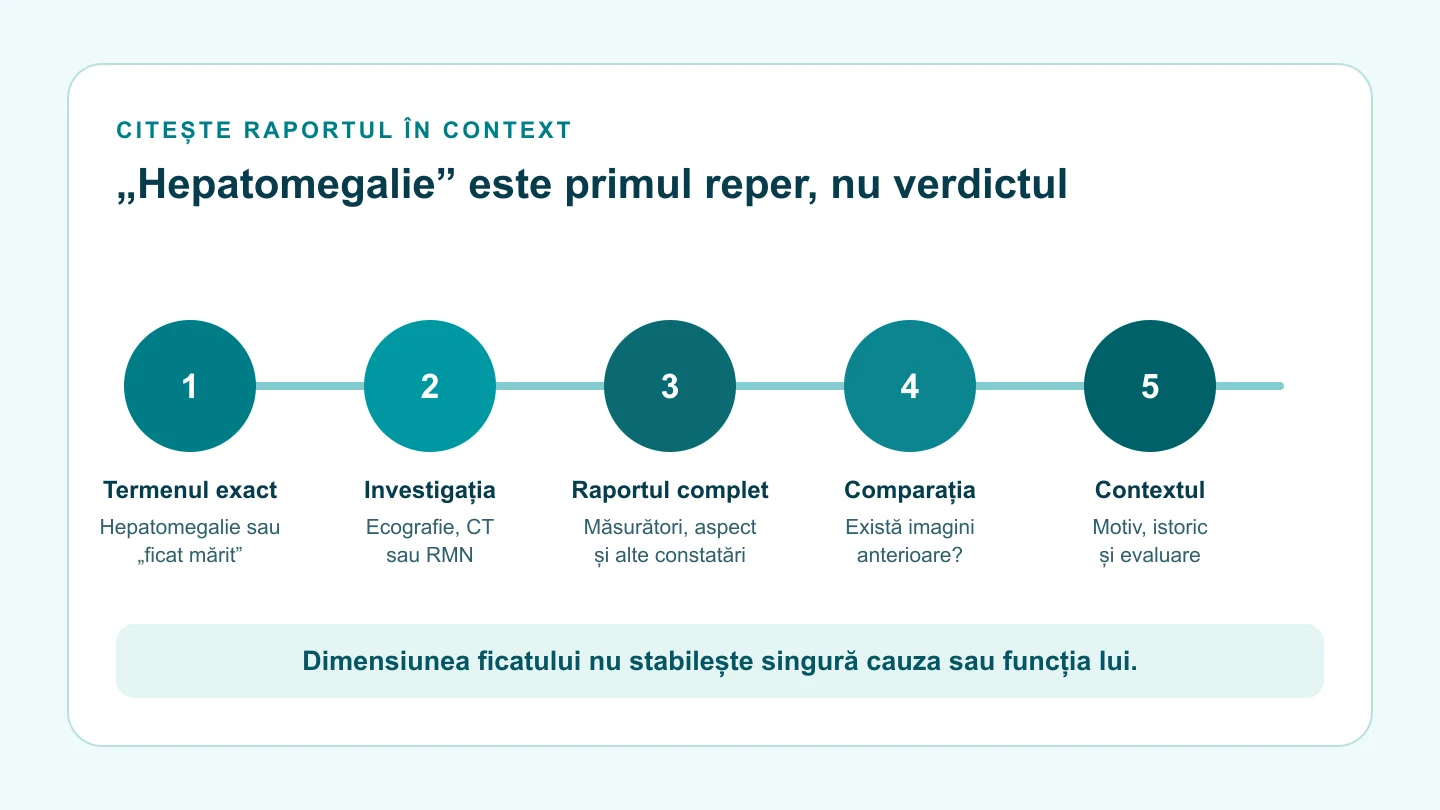 Hartă în cinci pași: termenul exact, investigația, raportul complet, comparația disponibilă și contextul medical.