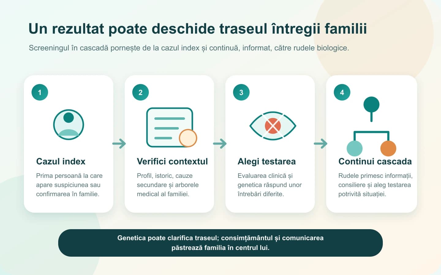 Hartă vizuală în patru pași despre cazul index, context, testare genetică și screeningul în cascadă