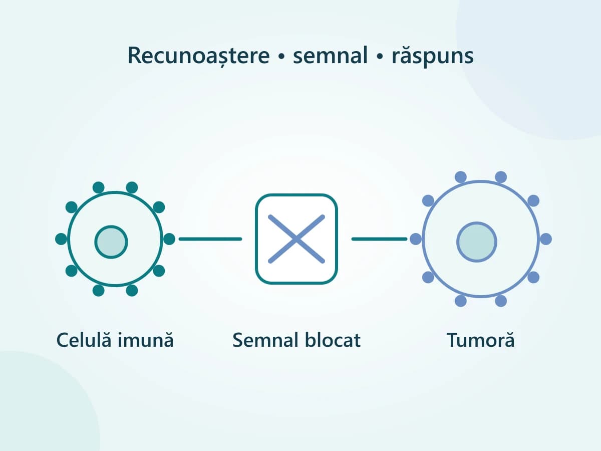 Schemă simplificată a unei celule imune, a semnalului inhibitor și a unei celule tumorale.