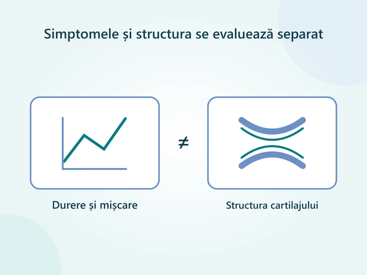 Durerea și funcția genunchiului sunt rezultate diferite de structura cartilajului observată la imagistică.