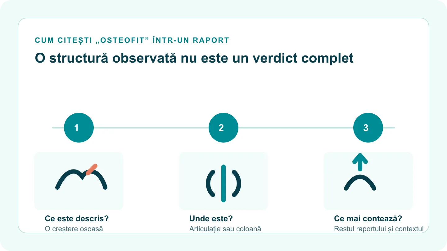 Diagramă în trei pași: ce structură a fost descrisă, unde se află și ce informații din raport îi pot schimba sensul.