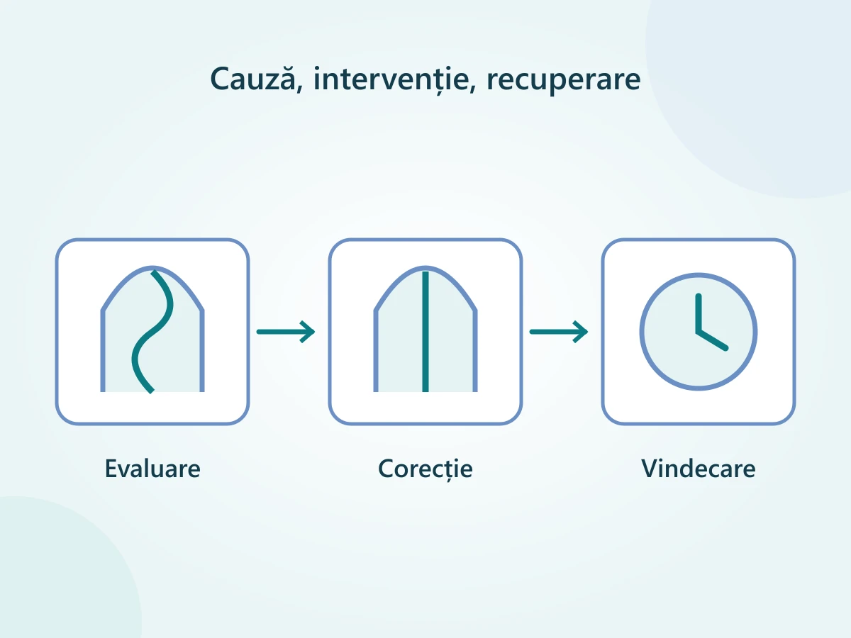 Trei elemente ale evaluării pentru septoplastie: septul, țesuturile din jur și planul de recuperare.