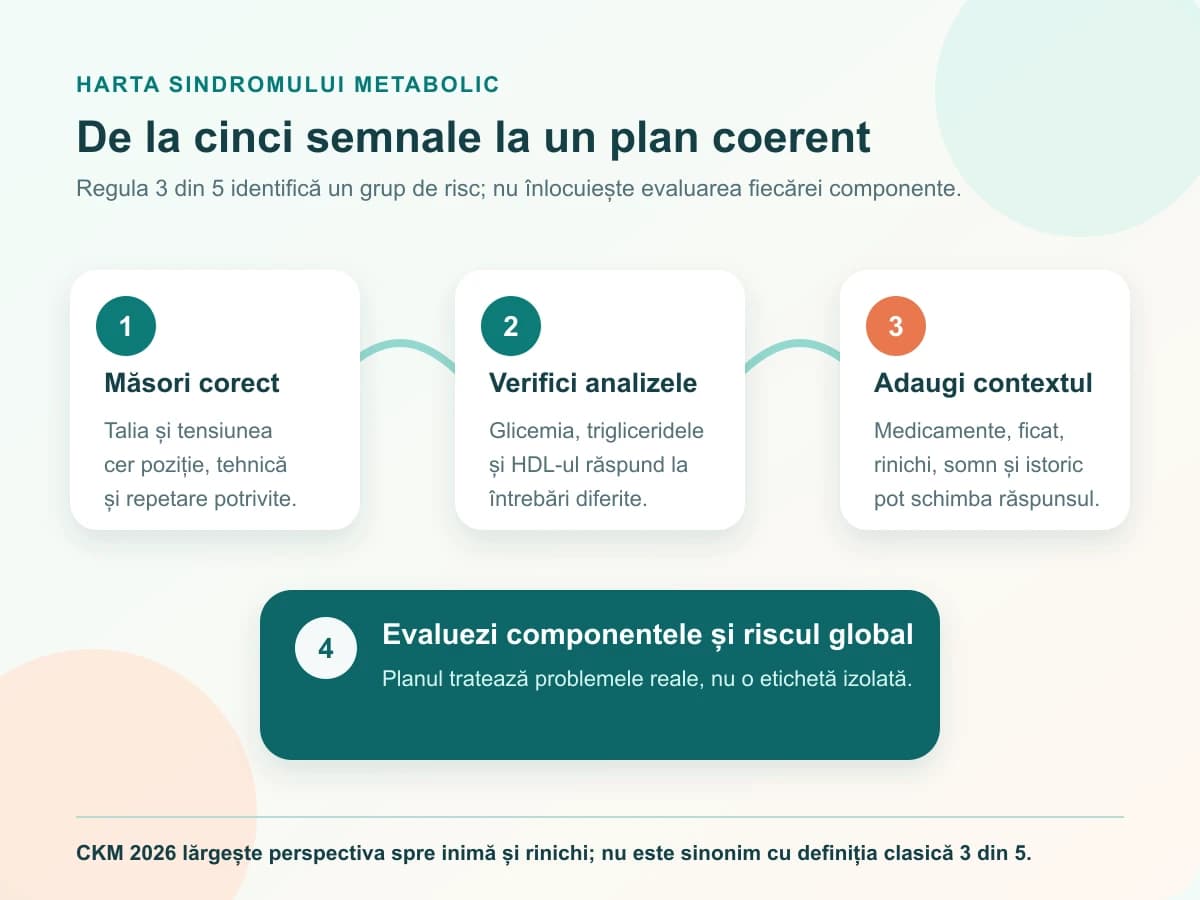 Hartă în patru pași de la măsurarea taliei și tensiunii la evaluarea riscului global