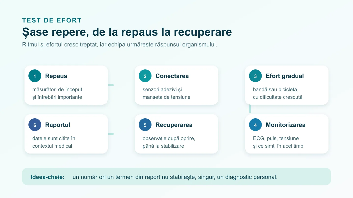 Hartă de proces în șase pași pentru testul de efort: pregătire, ECG de repaus, efort gradual, monitorizare, recuperare și raport