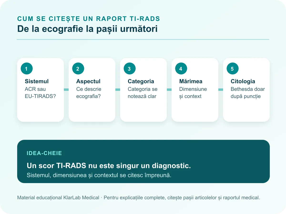 Diagramă educațională în cinci pași de la identificarea sistemului TI-RADS la caracterizarea nodulului, pragurile de dimensiune, puncție și citologia Bethesda