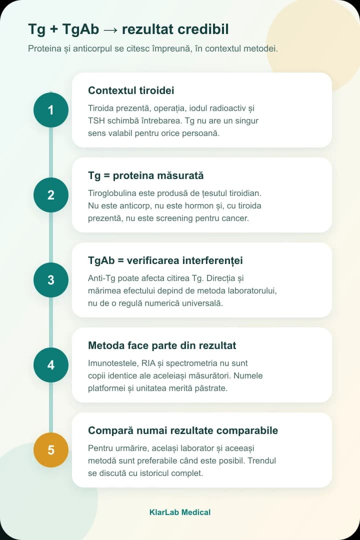 Hartă verticală în cinci pași despre contextul tiroidei, Tg, TgAb, metoda laboratorului și comparabilitatea rezultatelor