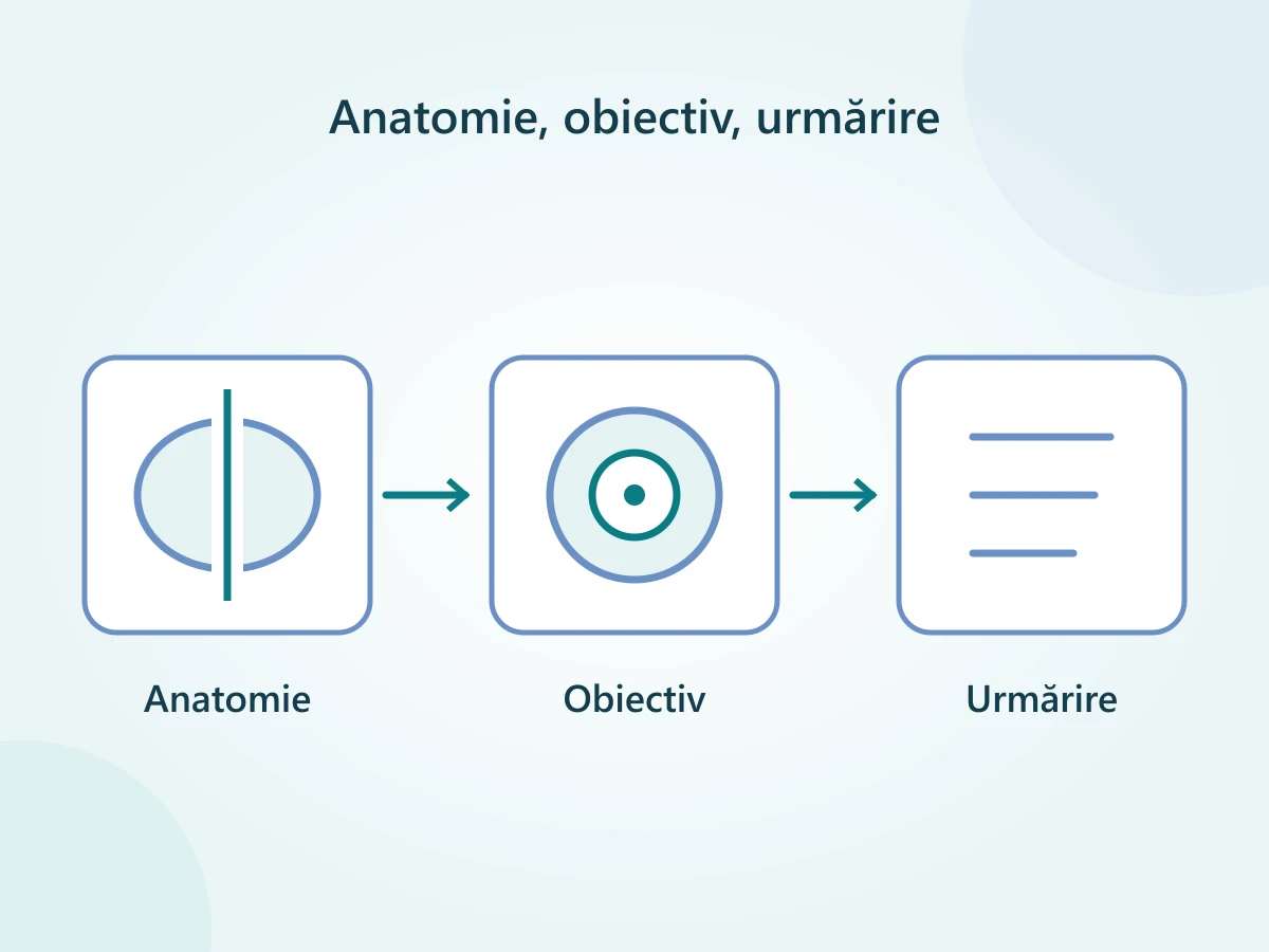 Trei întrebări înainte de UroLift: anatomia prostatei, obiectivul tratamentului și planul de urmărire.