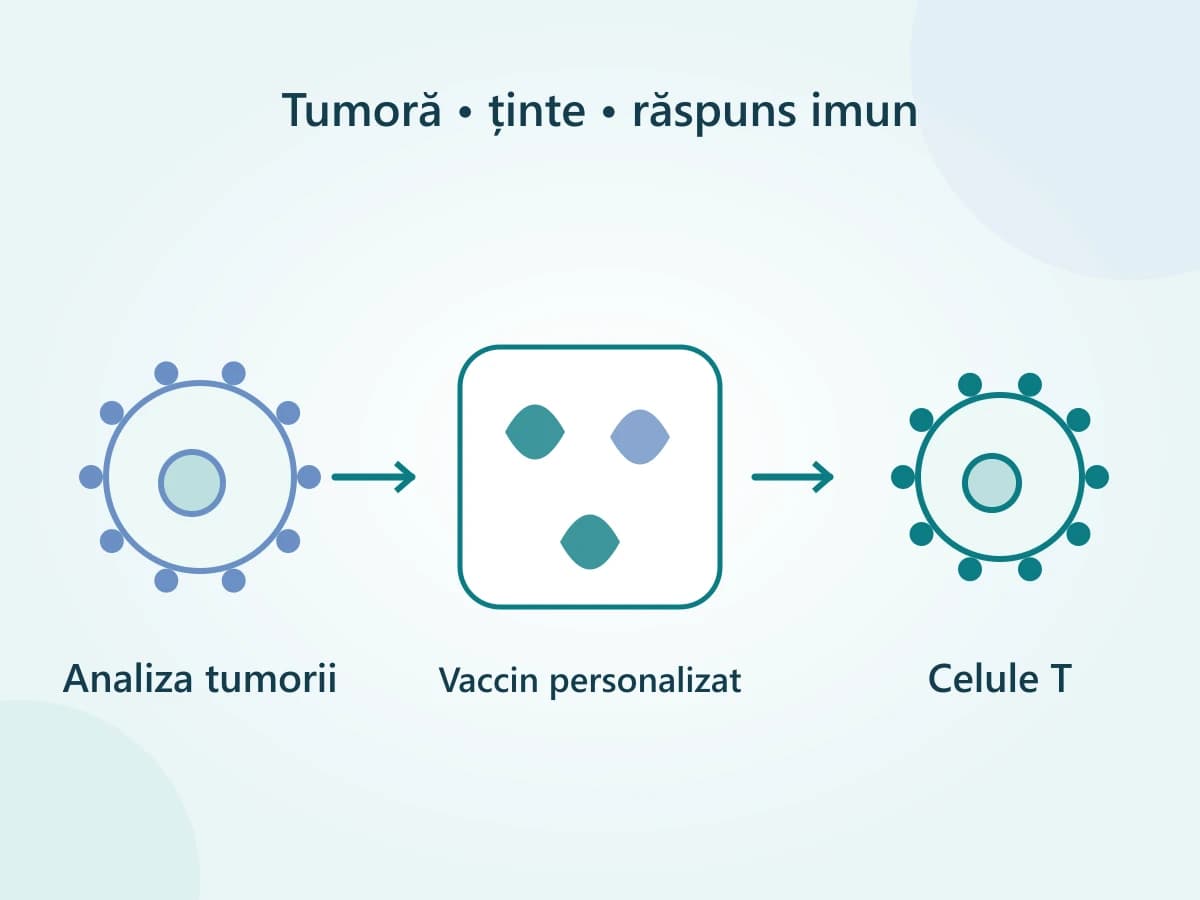 Diagramă cu o probă de tumoră, alegerea unor ținte și instruirea celulelor imune printr-un vaccin.